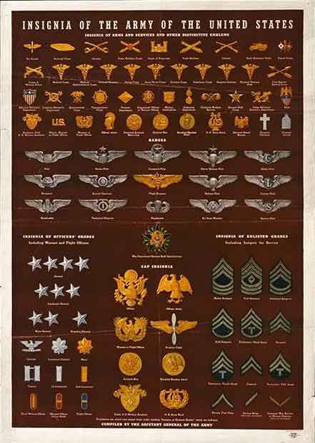 Poster Colection image ww0207-78.jpg is a graphic chart illustrating the variety of army military uniform insignia